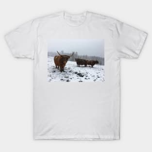 Scottish Highland Cattle Cows 2378 T-Shirt